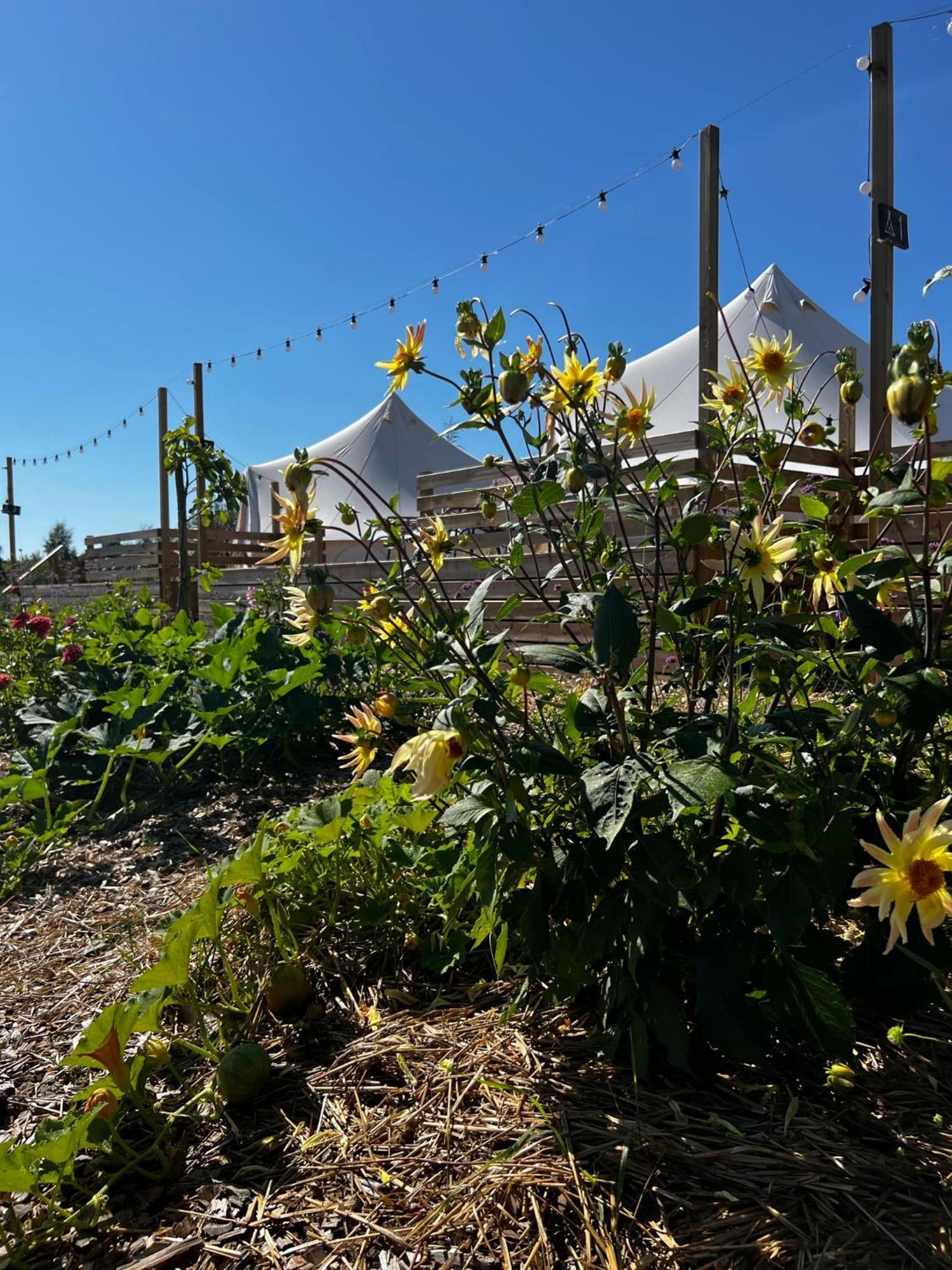 Vaettervy Glamping Hotel Habo Kültér fotó