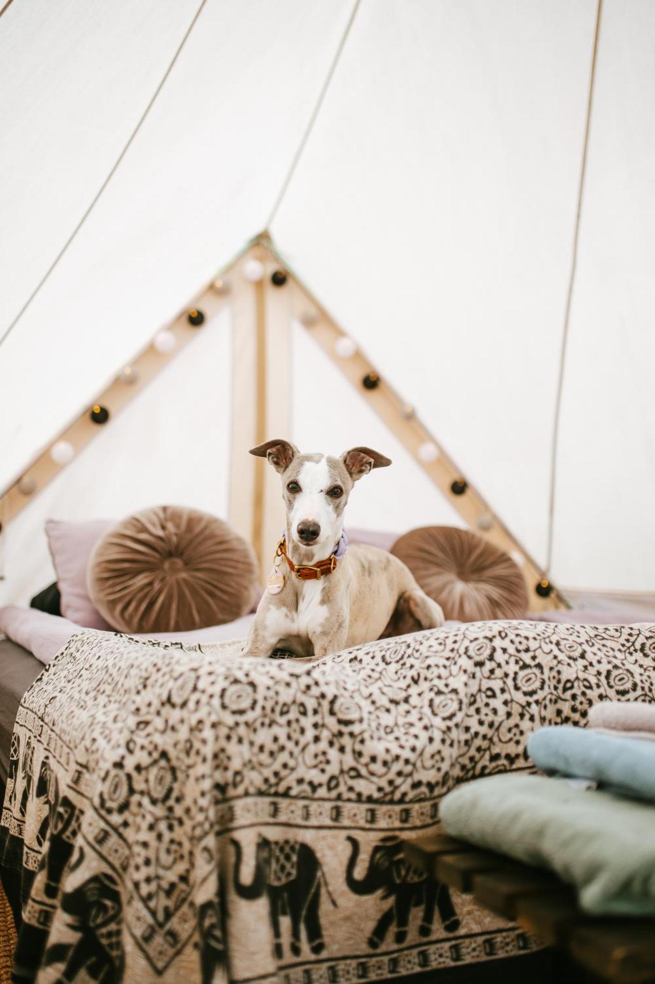 Vaettervy Glamping Hotel Habo Kültér fotó